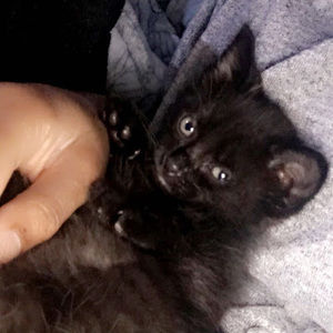 Meet your Posher, Marilyn